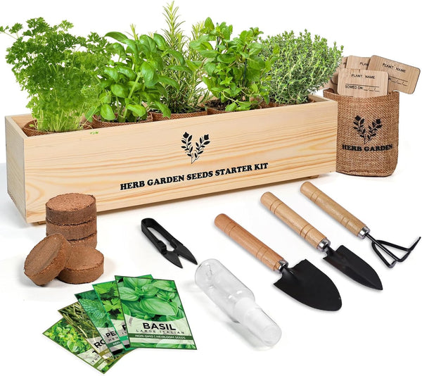 Meekear 5 Herb Seeds Garden Starter Kit with Complete Planting Kit &