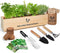 Meekear 5 Herb Seeds Garden Starter Kit with Complete Planting Kit &