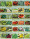 Valley Greene 30 Packs of Deluxe Heirloom Vegetable Garden Seeds Non-GMO(Guaranteed 30 Different Varieties