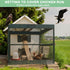 25'x25' 3/4" BSTPCOO Bird Netting for Chicken Coop, Nylon Mesh Poultry Netting Chicken Net Roof Hawk, Aviary Net Deer
