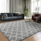 Shag Area Rug 5x7 Feet, Extra Soft High Pile Indoor Carpet for Living Room, Bedroom, Kids Room Decor