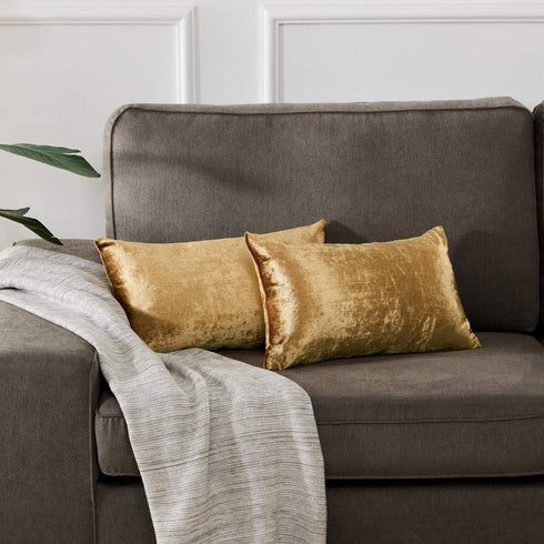 GIGIZAZA Gold Velvet Decorative Throw Pillow Covers - 2 Pack Soft Cushion Cover 12x20 for Sofa Bed