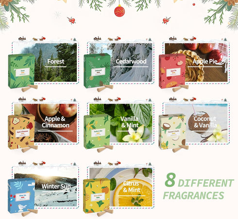 SCENTORINI Incense Cones 120 Cones, Incense Cones with Holder Relaxation Meditation Kit, Cedarwood, Forest, Vanilla & Mint, Cinnamon, Cocnut & Vanilla, Citrus & Mint, Winter Sun