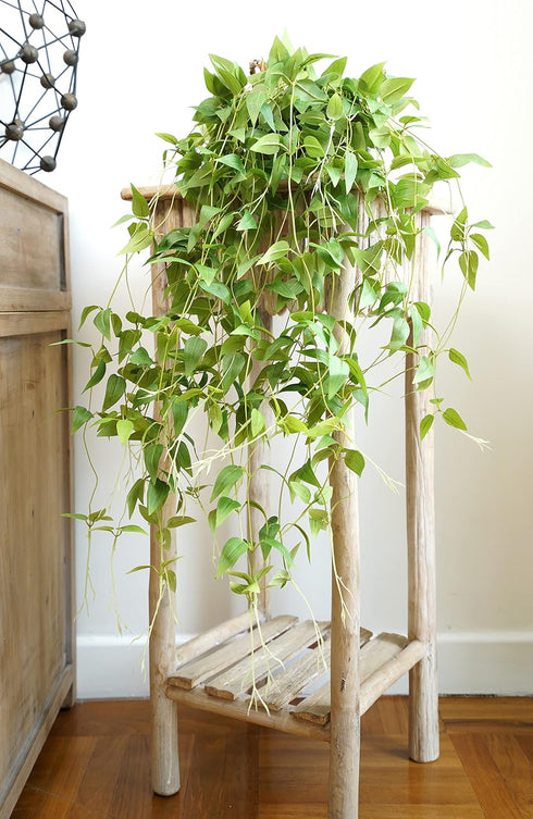 FiveSeasonStuff 28ft 10-Vine Set, Elegant Artificial Silk Clematis Leaves, Versatile Decor for Any Occasion
