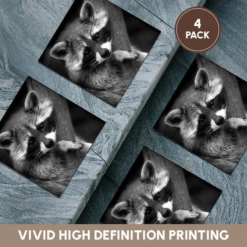 3dRose CST_173001_3 Baby Raccoon Black and White Digital Image Ceramic Tile Coasters - Set of 4