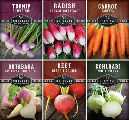 Root Vegetable Seeds for Planting Variety Pack 6 Heirloom Non-GMO Root Crops: