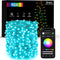 Brizled Smart Fairy Lights, 66FT 200 LED St. Patrick's Day Green String