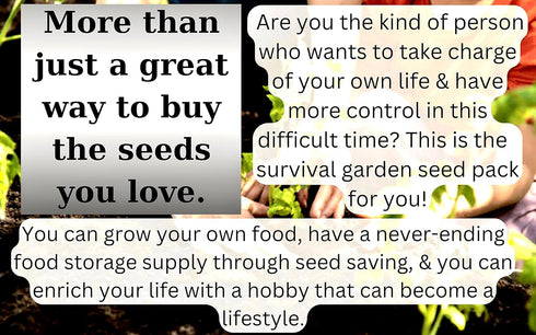 40 25,000 40 Package. (1, Vegetable & Fruit Seeds for Planting Your Outdoor & Indoor Home Garden. Seeds, Plant Markers