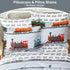 Sets Set 5 Viviland Kids Twin Bedding for Boys, Soft Twin Comforter with Sheets, Pieces Microfiber Bed in a Bag, Light