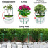 12 Pack 10" 16" K-Brands Plant Support Stakes Heavy-Duty Half Round Peony Support Ring and Cage for Indoor and Outdoor