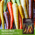 (2 Packs) Rainbow Carrot Seeds for Planting Colorful Heirloom Blend Including Purple, Yellow & Orange Carrots