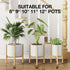 8-12 Inch 14.5 Inch 1 Pack MUDEELA Plant Stand for Indoor Plants: Adjustable Width Fits Pots - Mid Century Modern