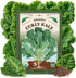 Seedboy Organic Kale Seeds for Planting Indoor and Outdoor, Non-GMO and USDA