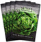 Sow Right Seeds - Buttercrunch Lettuce Seeds for Planting - Non-GMO Heirloom