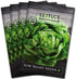 Sow Right Seeds - Buttercrunch Lettuce Seeds for Planting - Non-GMO Heirloom