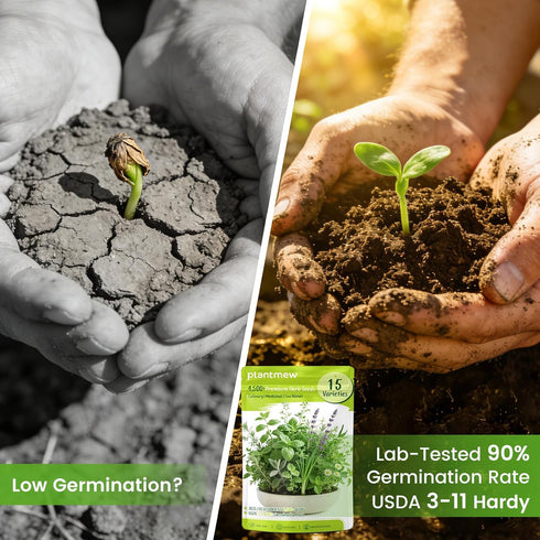 15-Pack 4,500+ Pack Herb Seeds Non-GMO Heirloom Seeds for Planting Indoor & Outdoor Herb Garden Kit with Basil