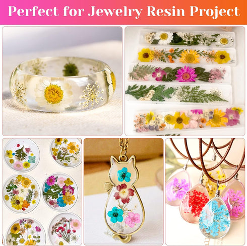 Real Dried Pressed Flowers for Resin, Natural Dry Flowers Leaves Bulk Kit for DIY Scrapbooking & Art Crafts
