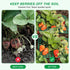 10 Pack, Strawberry Plant Support, Raised Grid Stand to Keep Strawberries Off the Ground, Strawberry Holder for Garden