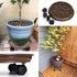 Skelang 2 Packs 11.8" Plant Pallet Caddy Plant Stand with Lock Wheels, Round Flower Pot,Planter Trolley Casters, Moving