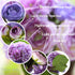 Felice Arts 12" Purple Hydrangea Silk Flowers Bouquet - Artificial Peonies for Wedding, Home Centerpieces