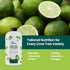 HiThrive 32oz 32 Lime Tree Fertilizer - Citrus Fertilizer for Lime Trees Live Plants - Makes Gallons of Liquid Fruit
