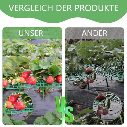 ANGTUO 10 Pack Square Strawberry Supports for Garden Strawberry Plant Support Strawberry Stand Holder Strawberry Racks