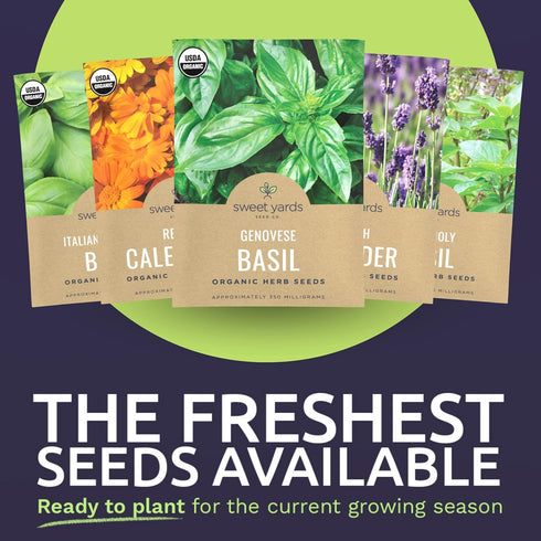 Pack 35 Packs 2026 Organic Herb Seeds Variety - Individual - Season - Basil, Cilantro, Dill, Thyme, Parsley and More!