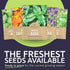 Pack 35 Packs 2026 Organic Herb Seeds Variety - Individual - Season - Basil, Cilantro, Dill, Thyme, Parsley and More!