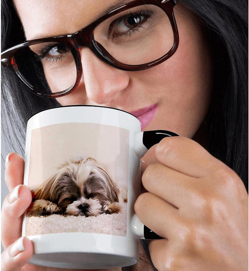 3dRose Ceramic Shih Tzu Sleeping Best Friend Mug, 1 Count (Pack of 1), Black