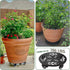 2 Packs 12 Inch Planterhoma Rolling Plant Stand with Wheels Metal Plant Caddy with Wheels Heavy Duty Plant Rollers