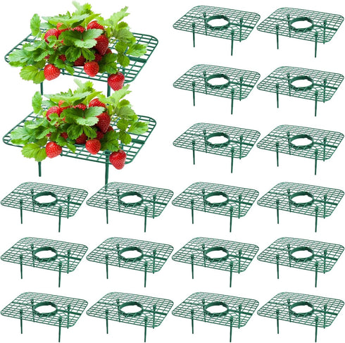 Pumtus 20 Pack Square Strawberry Supports, Strawberry Growing Rack with 4 Sturdy