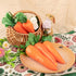 5 Pack AUEAR, Artificial Carrots Plastic Carrot Simulation Fruits Lifelike Fake Vegetables Model Teaching Photo