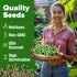 202+ HOME GROWN Clemson Spineless Okra Seeds Heirloom Non-GMO Seeds for Planting, High Germination, Prolific Heat