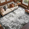 5x7 Ft Area Rugs for Living Room, Soft Non-Slip Washable Rugs Modern