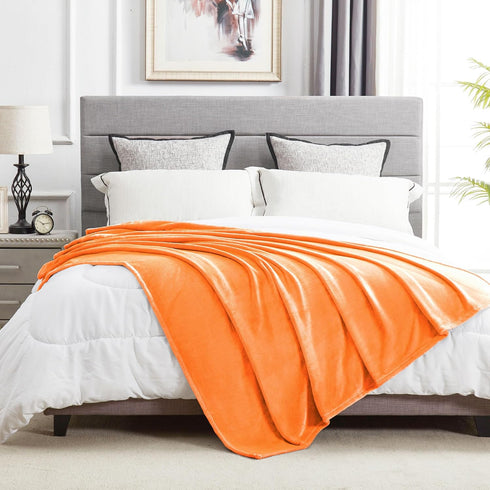 50" 60", Cozy DREAMNINE Soft Fall Fuzzy Fleece Throw Blanket for Couch Sofa x Decorative Solid Lightweight Velvet