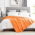 50" 60", Cozy DREAMNINE Soft Fall Fuzzy Fleece Throw Blanket for Couch Sofa x Decorative Solid Lightweight Velvet