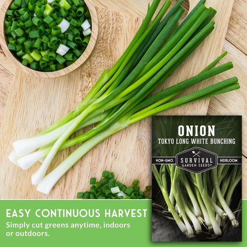 (1 Pack) Tokyo Long White Bunching Onion Seeds for Planting Fast-Growing Japanese Negi Green Onion with Tender White