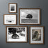 5x7 4x6, Picture Frame with Mat Adaptable Display Size for Natural Black Walnut Wood Frame, HD Tempered Glass, Mortise
