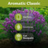 2000 KVITER English Lavender Seeds for Planting Outdoor & Indoor (Lavandula angustifolia) True Lavender Flowers