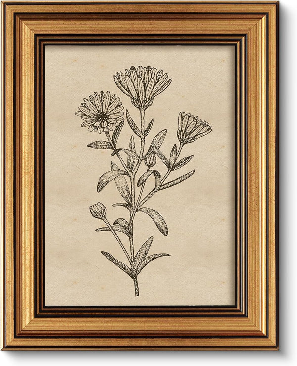 ARPEOTCY Gold Framed Canvas Art Prints, 8x10inch, Botanical Wildflower Art Painting, Vintage