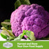 (2 Packs) Purple Cauliflower Seeds for Planting Violetto di Sicilia Heirloom Italian Cauliflower Variety Producing Deep