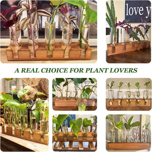 10 Renmxj Plant Propagation Station, Plant Terrarium with Wooden Stand for Hydroponics Plants Office Decor Unique