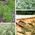 Packet (1) Sow Right Seeds - Mugwort Seeds for Planting - Non-GMO Heirloom with Instructions to Plant an Outdoor