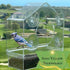 Window Bird Feeder House Shaped - Innovative Anti-Yellow Acrylic Technology - Strong Suction Cup Grip - All Weather - Ideal for Wild Birds - Senior's - Fathers Day