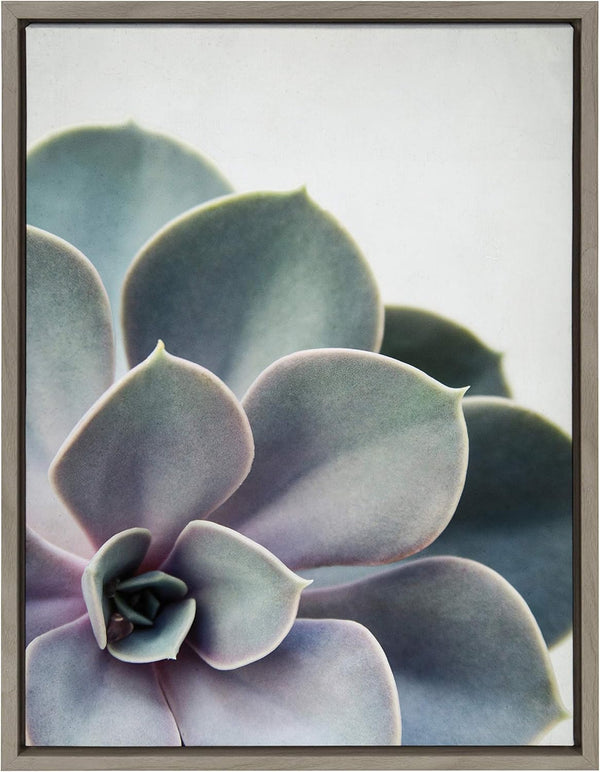 Kate and Laurel Sylvie Succulent 5 Framed Canvas by F2 Images, 18x24 in Gray
