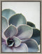 Kate and Laurel Sylvie Succulent 5 Framed Canvas by F2 Images, 18x24 in Gray
