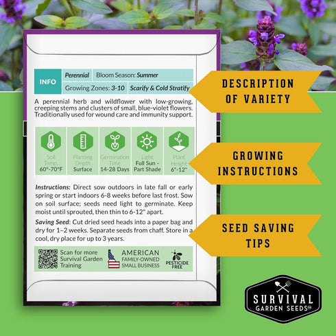 (2 Packs) Self-Heal Seeds for Planting - Prunella Vulgaris (All-Heal, Selfheal) Hardy Perennial Ground Cover