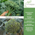 29 300+ Waltham Broccoli Seeds (Brassica oleracea) Heirloom Non-GMO Seeds by Islas Garden Seeds, Classic Cool-Season