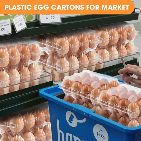 AYAYGD 80 Pack 12 Count, Egg Cartons Cheap Bulk Clear Plastic Egg Cartons for Chicken Eggs, Reusable Egg Carton