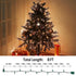 8FT 10 Count Bulbs LIDORE Super Bright Clear Mini Christmas Tree String Lights, Gift for Decoration, with Green Cord